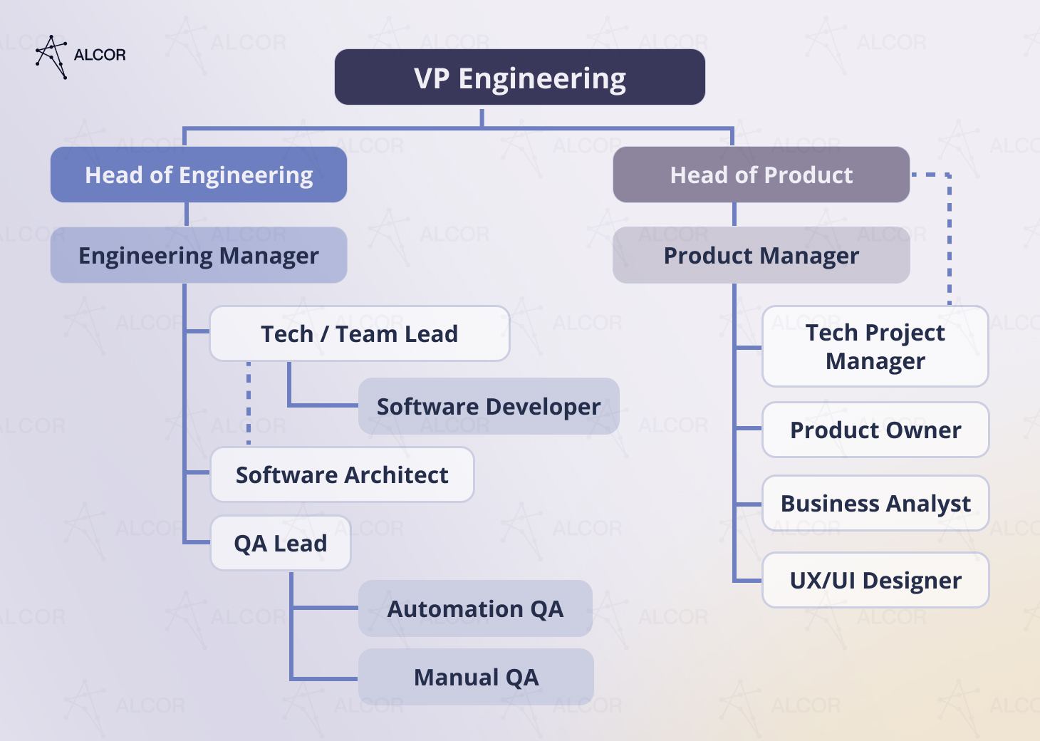 Roles in software engineering team: responsibilities and hierarchy