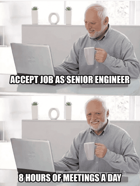 Senior engineers' reality