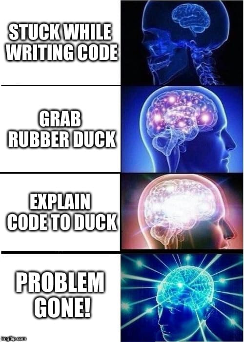 Rubber duck x developers