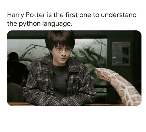 Python language